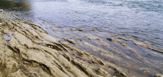 �ȥåץ��᡼��