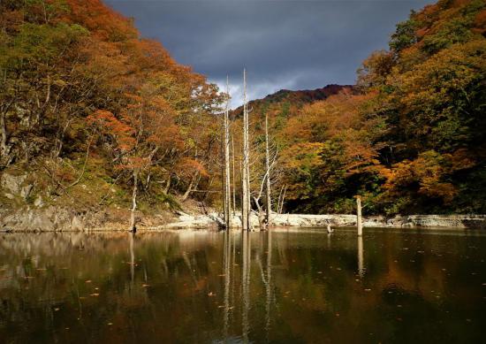 2023/10/30 17:00/〜〜絶景・三淵渓谷通り抜け参拝ボートツアー〜〜