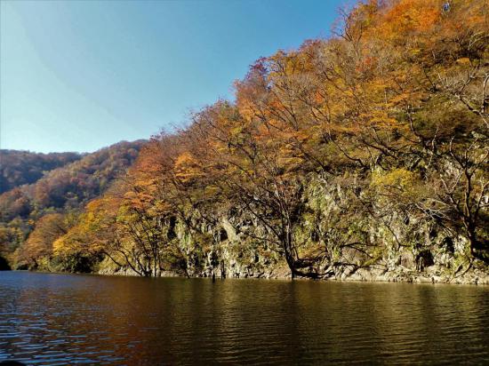 2023/11/10 09:07/〜〜絶景・三淵渓谷通り抜け参拝ボートツアー〜〜令和5年11月10日(金)