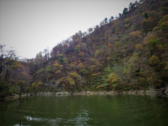 2023/11/13 13:03/〜〜絶景・三淵渓谷通り抜け参拝ボートツアー〜〜令和5年11月13日(月)