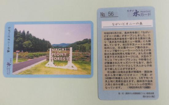 2024/08/19 16:13/ながい水カード NO56 が 発行されました