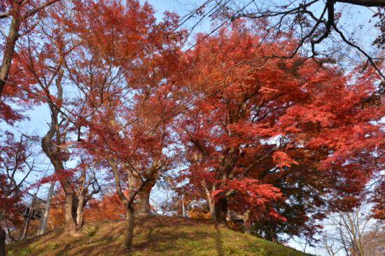 2014/11/12 17:08/南陽市 熊野大社、薬師寺、烏帽子山