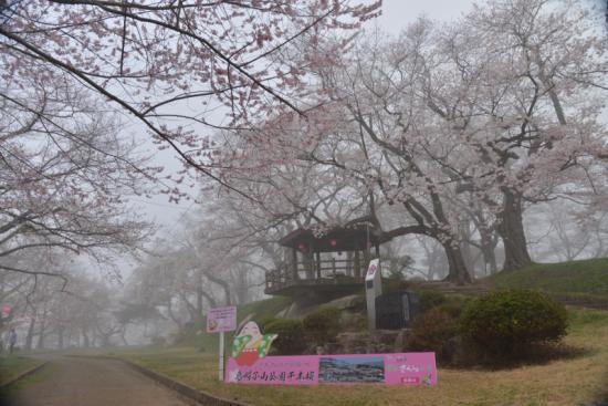 2015/04/22 08:33/朝霧の烏帽子山も最高だよ