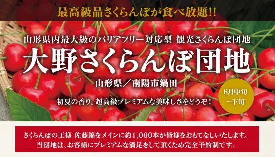 2019/07/03 08:44/「これは美味い」最高級品さくらんぼが食べ放題