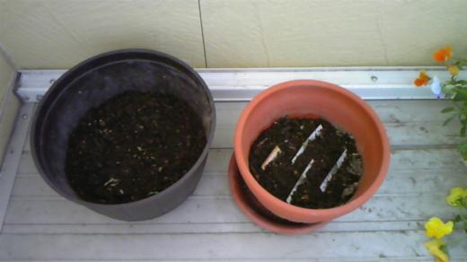 2011/06/18 22:43/ベランダで