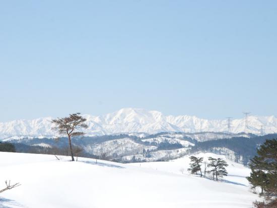 2013/03/12 13:40/春めいた陽気な今日♪