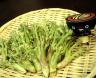 「●旬の山菜「タラボ」人気♪」画像