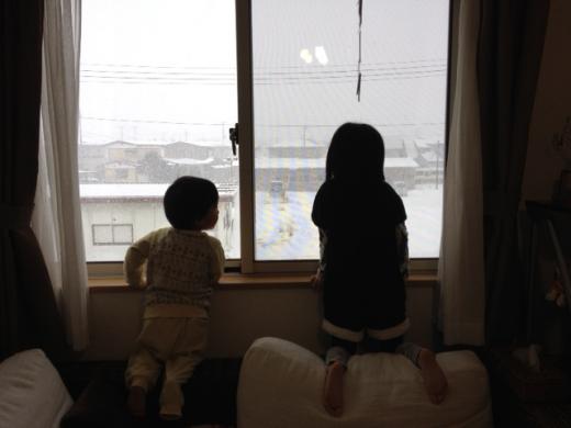 2012/01/31 08:05/●今朝も朝から大雪のいわて花巻(-。-;