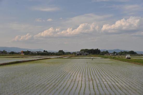 2012/06/21 20:36/田植後の風景