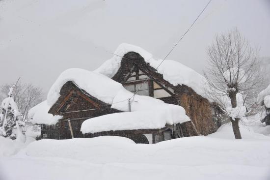 2013/01/21 19:50/古民家の雪