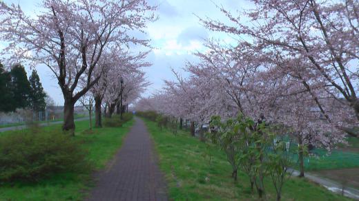 2010/05/01 06:46/おはようございます。