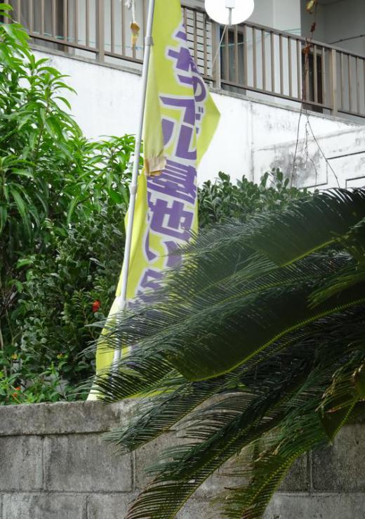 2018/11/28 16:28/南の島はいま…