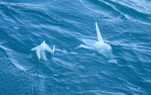 散骨ー1:2018/12/02 10:29