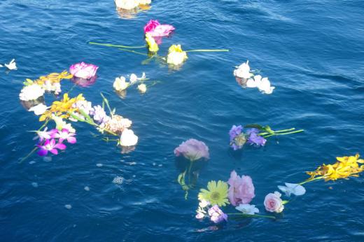 散骨ー2:2018/12/02 10:34