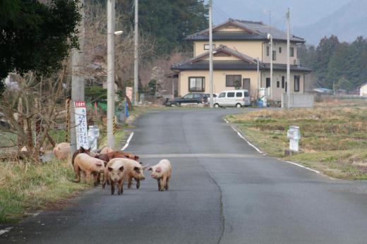 2019/02/02 10:48/地図から消される街…そして、サンゴ礁の海では