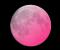 「平成最後の満月(ピンクムーン)―まんどろだお月様だ」画像