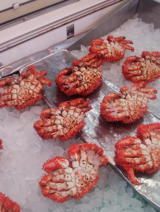 根室再訪ー2:2019/05/30 17:19