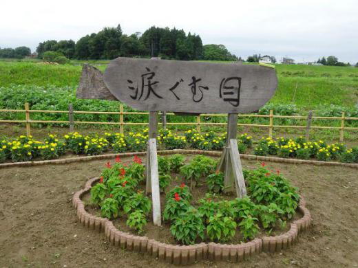 2019/07/07 10:46/「見えない涙」と「涙ぐむ目」