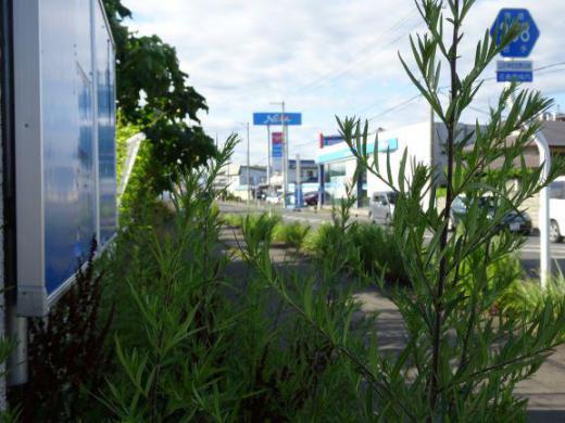 before&afterー1:2019/07/23 08:54