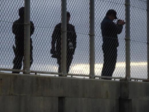 初うくしー5:2020/01/01 12:16