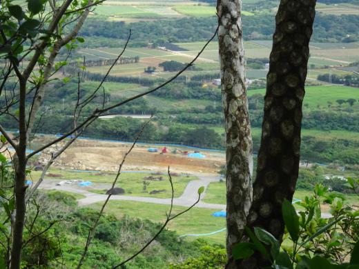 怒れる若者たちー2:2020/01/07 14:22