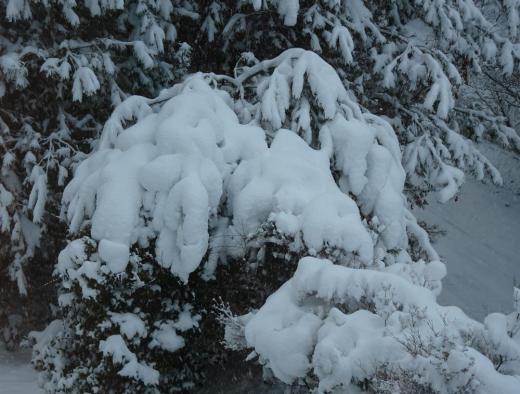 "Àã¤Ã»Ò¡É¤¿¤Á¤Î̤Íè¡§2020/12/16 09:41