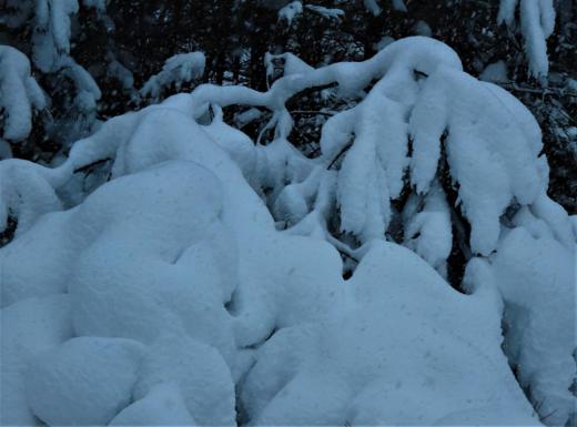 ¡ÉÀã¤Ã»Ò¡É¤¿¤Á¤Î¤ªÊ줵¤ó¡§2020/12/16 15:01