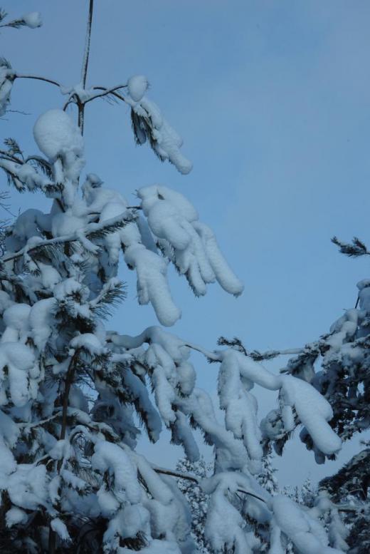 ¡ÉÀã¤Ã»Ò¡É¤¿¤Á¤Î¥¸¥ã¥ó¥×Âç²ñ¡§2020/12/17 09:53