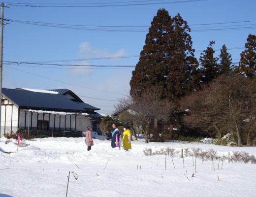 脱兎のごとき「まさみち」さん:2022/01/17 19:52