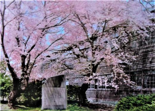 2023/02/14 15:17/賢治ゆかり…「跡地」今昔物語〜「旧花農」跡地を文教地区に!!