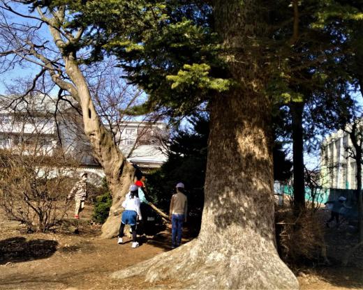 2023/03/20 18:41/「喪失」という物語…“大江”ショックその後〜そして、袴田さんと大谷選手の”あきらめない”精神!?