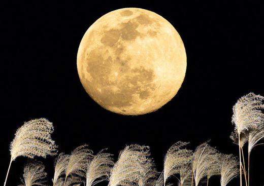 スーパームーン:2023/08/31 13:44