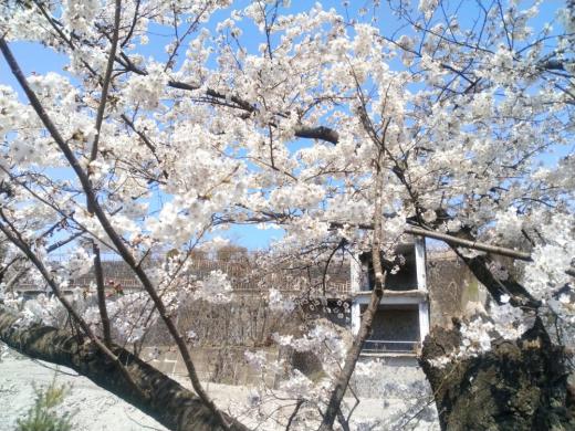 2024/04/12 12:15/µì¿·¶½À×ÃϤò¡È¼ºÀ¯¡É°ä¹½¤Ø¡Ä¡Ö¥À¡¼¥¯¥Ä¡¼¥ê¥º¥à¡×´Ñ¸÷¤È¤·¤Æ¤ÎÍø³èÍѤòÌܻؤ·¤Æ¡Á¤¢¤ë¤¤¤Ï¡ÈÅÁ²È¤ÎÊõÅá¡É¡¢½»Ì±Åêɼ¤Î¹Ô»È¤«¡ª¡ª¡©¡©