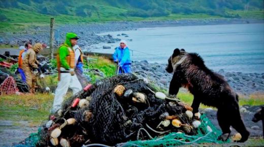 至近距離でクマと向き合う漁師:2025/11/04 16:25