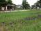 「【開園前のあやめ公園】」画像
