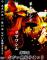 「【平成26年の黒獅子まつりDVD発売決定!】」画像