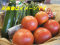 「【旬をお届け!夏野菜セット】」画像