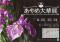 「【『あやめ大華展』開催中です】」画像