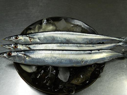 2010/10/27 17:21/おすすめ☆