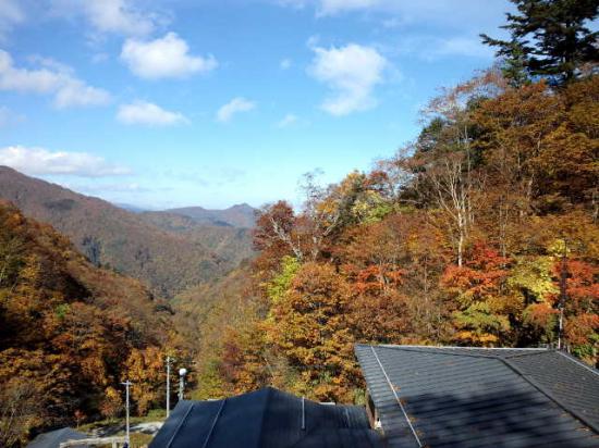 2011/10/20 11:39/【奥白布紅葉情報10/20】ピークから終盤へ展開する標高1126M