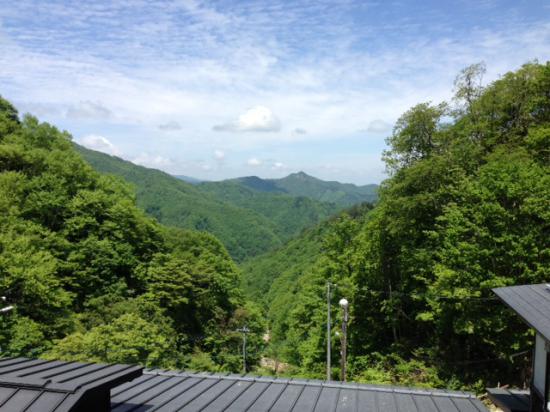 2013/06/02 11:31/西吾妻山にグリーン季到来!