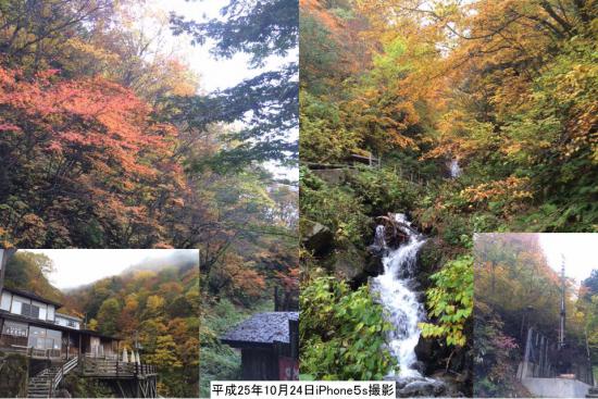 2013/10/24 10:50/【標高1126m】10月24日現在の紅葉予報 iPhone5s GOLD 32G