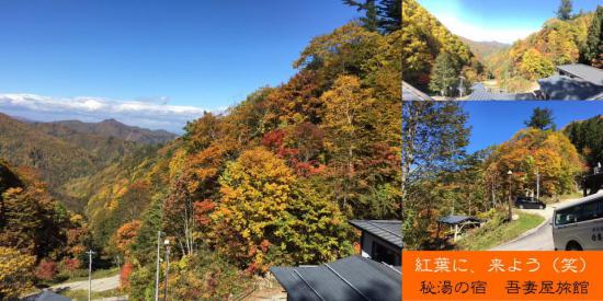 2015/10/12 12:07/満を持しての紅葉情報2015 秘湯の宿編