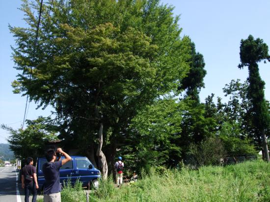 2012/09/30 20:19/µÜÅ褵¤ó¤È½ä¤ë¡ØÅļËÊ⤼̿¿¥Ä¥¢¡¼¡Ù£