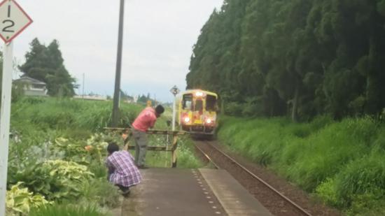 2016/07/21 20:59/ダリア列車登場