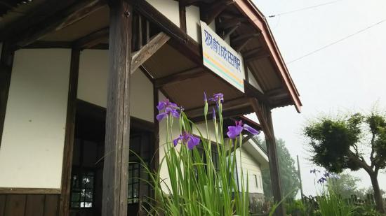 2017/06/20 06:00/成田駅にアヤメ咲く