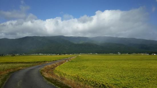 2017/11/21 08:52/停車場憧憬 ふるさとの山に