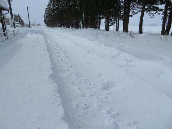 2018/01/27 14:23/大雪だ、頑張れ山鉄!