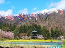 「安久津八幡神社(歴史公園)の桜..」画像