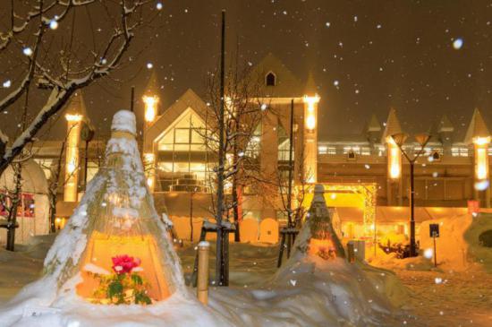 2025/11/29 17:30/2/13-15 第25回まほろば冬咲きぼたんまつり 開催!